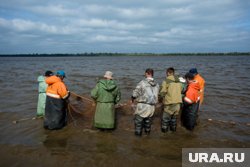 Рыбная отрасль в ЯНАО полностью контролируется онлайн