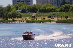 Курганцев ожидает ясная погода