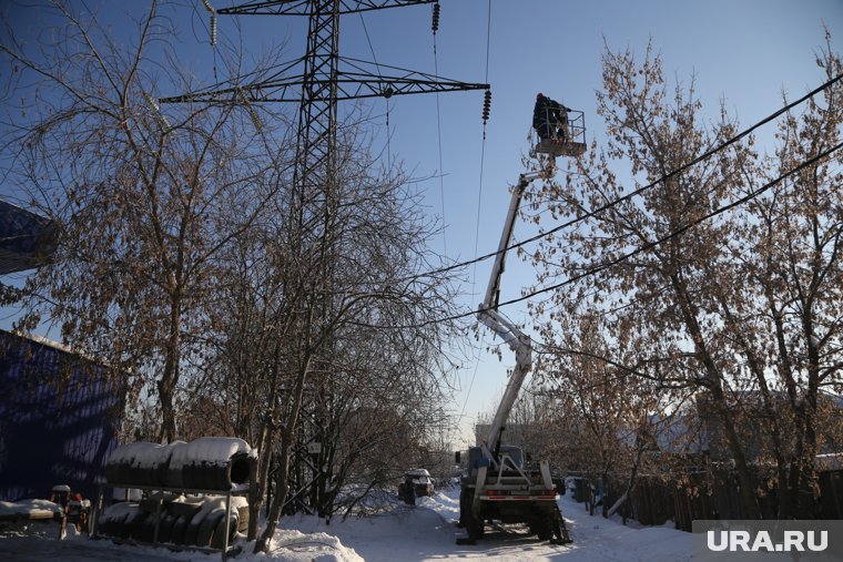 В Прикамье на борьбу с проблемой брошены все резервы