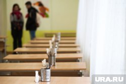 Чем отравились школьники в Екатеринбурге: основная версия