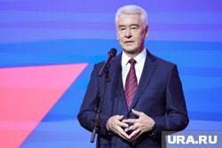 Сергей Собянин заявил, что салюта в Москве на День города не будет