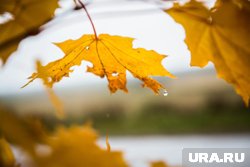 В ХМАО со следующей недели начнется похолодание и дожди