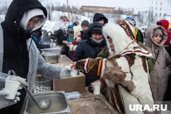 Полевая кухня будет работать на Дне оленевода