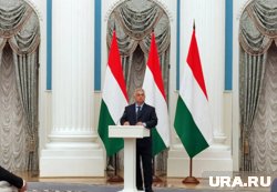 Орбан поддержал планируемую встречу Путина и Трампа