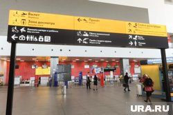 Вылет из Москвы в Челябинск отложили