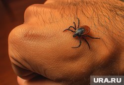 Среди пострадавших - почти 3,5 тысяч детей