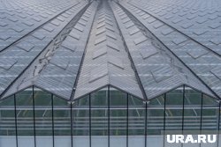Китай и Украина расширили сотрудничество в сельском хозяйстве