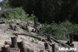 Дамбу начнут расчищать на следующей неделе 