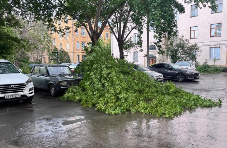Упавшее дерево накрыло машину на стоянке у дома