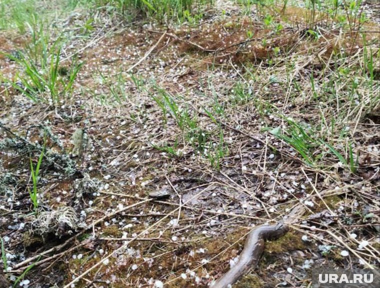 Кусочки льда падают со скоростью до 160 километров в час
