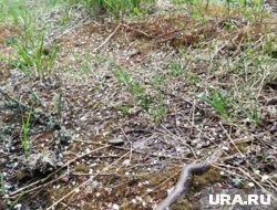 Кусочки льда падают со скоростью до 160 километров в час