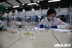В ДНР найдена лаборатория по производству ядовитой жидкости