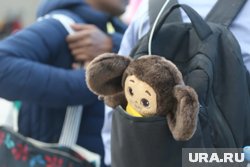 Тюменская компания использовала образ чебурашки для брендинга своего печенья