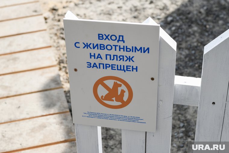 Жители начали приходить на пляж с питомцами, это и побудило создать вольеры