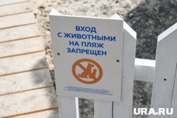Жители начали приходить на пляж с питомцами, это и побудило создать вольеры