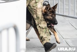 К поиску пропавших в ХМАО школьниц подключилась мэрия Нижневартовска 
