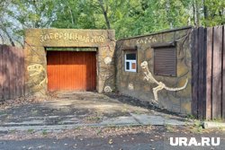 В Кургане планируют реализовать новые проекты на месте, где раньше был парк динозавров
