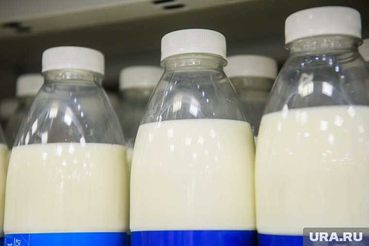 Эксперт рекомендует съедать молочную продукцию как можно быстрее