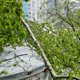 Машины завалило деревьями после разрушительного снегопада в Москве. Фоторепортаж