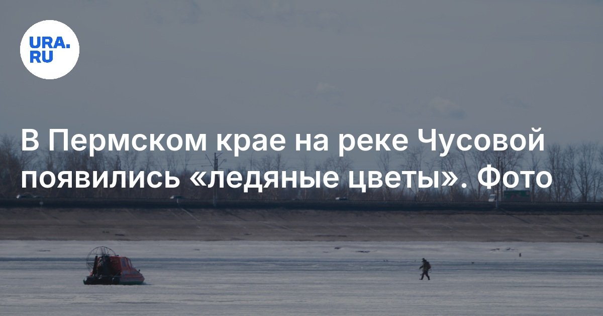 В Пермском крае на реке Чусовой появились «ледяные цветы»: фото