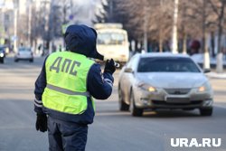 Водитель из поселка Ханымей подрался с инспектором ДПС (архивное фото)