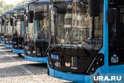 Каждый троллейбус обойдется Екатеринбургу в 33 млн рублей