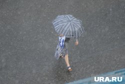 В Москве ожидаются ливни и высокая температура воздуха