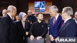Россия ничего нового не ждет от саммита НАТО в Гааге