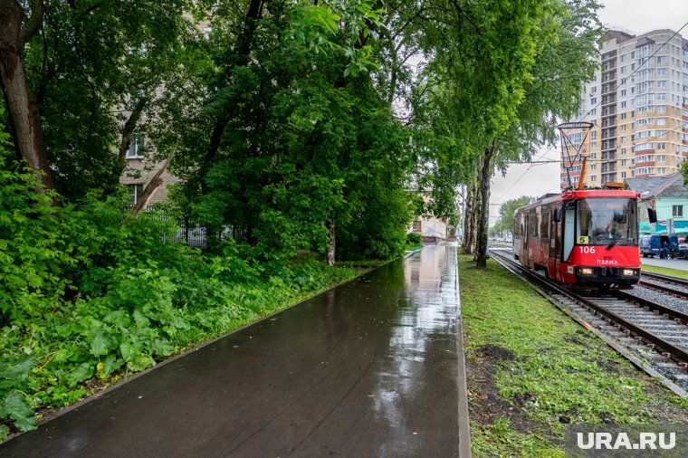 Неделя в Прикамье будет дождливой