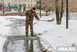 В Курганской области ожидается сильный ветер с порывами до 17 м/с