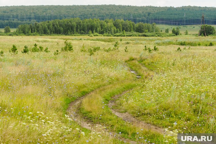 В Курганской области засохли природные глиняные квашни
