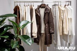 На Lime, Befree и 12STOREEZ пришлось больше половины от общего объема продаж среди отечественных брендов одежды