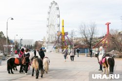 В парке полно развлечений на любой вкус и кошелек 