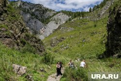 Спасатели проводят поисковую операцию