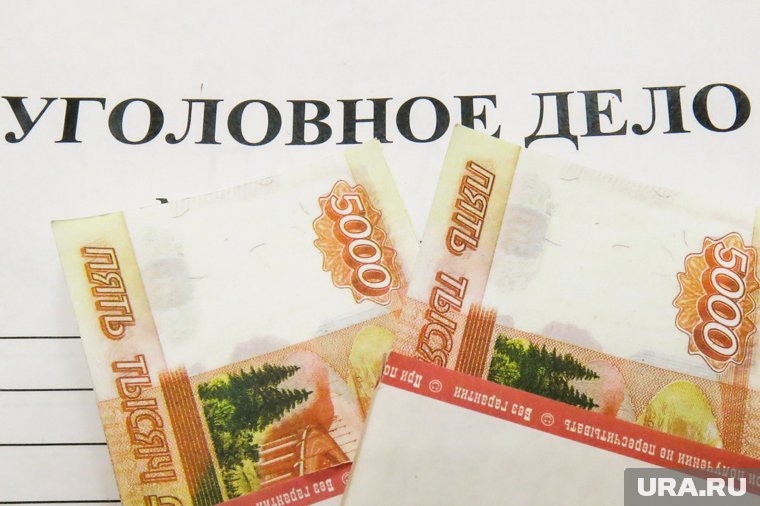 Вместо выплаты зарплаты женщина тратила деньги на другие цели