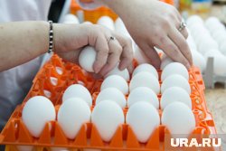Прибыль Пышминской птицефабрики в два раза ниже, чем у правительственной Боровской