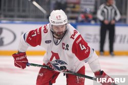 В регулярном чемпионате Континентальной хоккейной лиги (КХЛ) Радулов набрал 34 очка в 60 матчах
