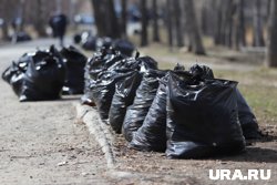 Активист собрал несколько мешков мусора на берегу двух тюменских водоемов (архивное фото)