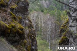 Размер платы на одного посетителя составляет 150 рублей