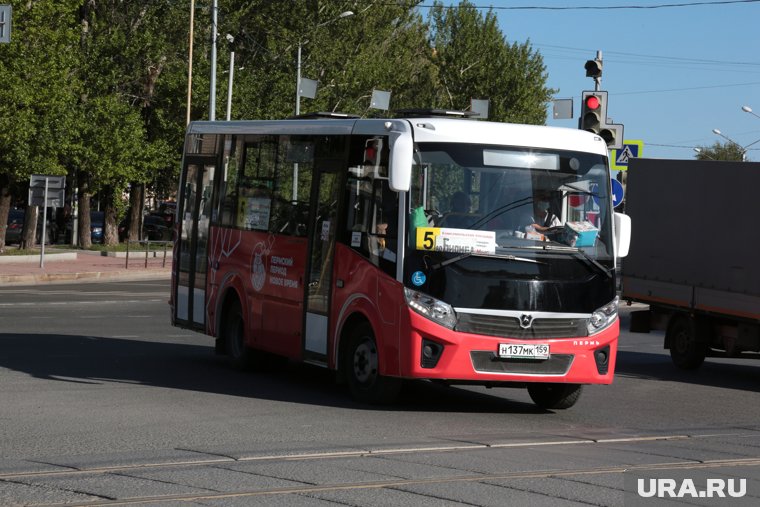 МУП «Пермгорэлектротранс» хочет приобрести восемь автобусов малой вместимости