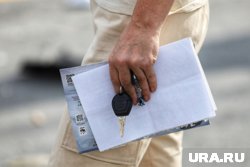 Купившие водительские права новоуренгойцы избежали уголовной ответственности