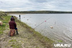 Рыбак из ХМАО наловил кучу крупных окуней на Таежном озере