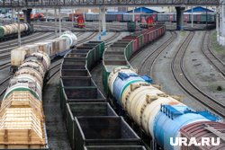 В Курганской области отметили рост погрузки по трем направлениям