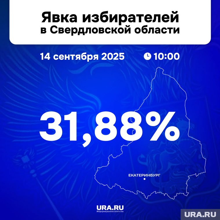 Инфографика выборов губернатора