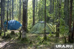 Детям в Пермском крае предлагают провести каникулы с пользой
