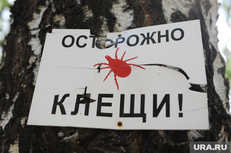 Среди пострадавших в Прикамье — 538 детей