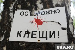 Среди пострадавших в Прикамье — 538 детей