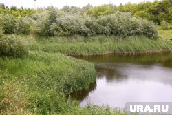 Обстоятельства гибели мужчины в водоеме не уточняются