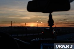 На трассу ночью может выбежать стадо лошадей