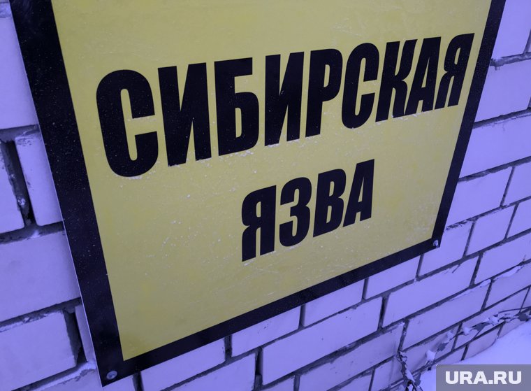 В Пермском крае отремонтируют скотомогильник с сибирской язвой